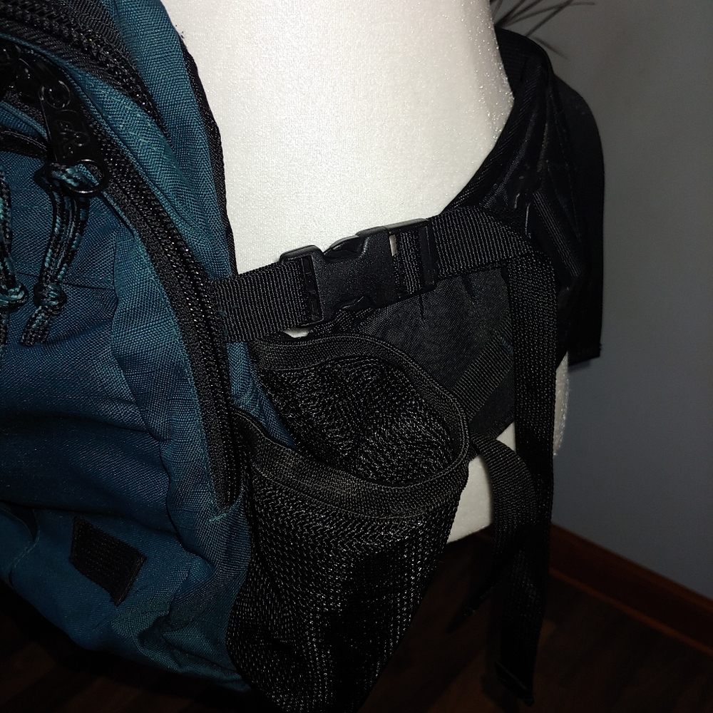 Ems Waistpack - image 3